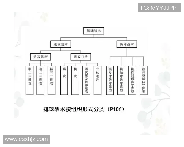 成都排球队防反战术解析与深度剖析助力排球竞技水平提升
