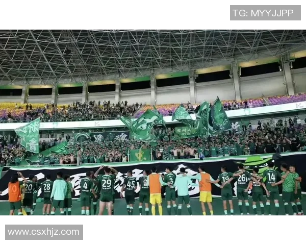 成都足球队节奏争议引发球迷热议与媒体关注的背后故事